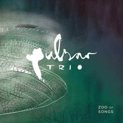 Pulsar trio zoo songs - pulsar,